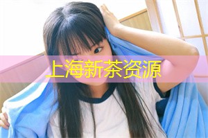 上海新茶工作室：感受上海后花园的宁静与和谐