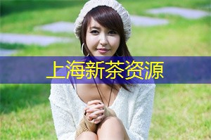 上海公司家庭套房揭秘：为什么越来越多城市家庭选择这种居住方式