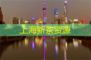爱上海419论坛：上海茶文化走进校园，点亮青少年的文化之花！