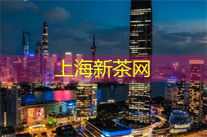爱上海：上海的交通系统更是堪称未来主义的典范