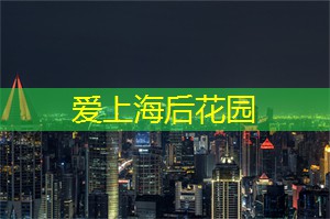 以路为媒 架起乡村振兴“黄金纽带”
